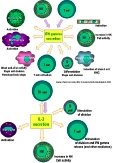 cytokines